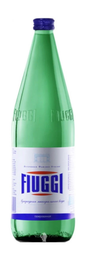 Fiuggi - Vivace Sparkling Water
