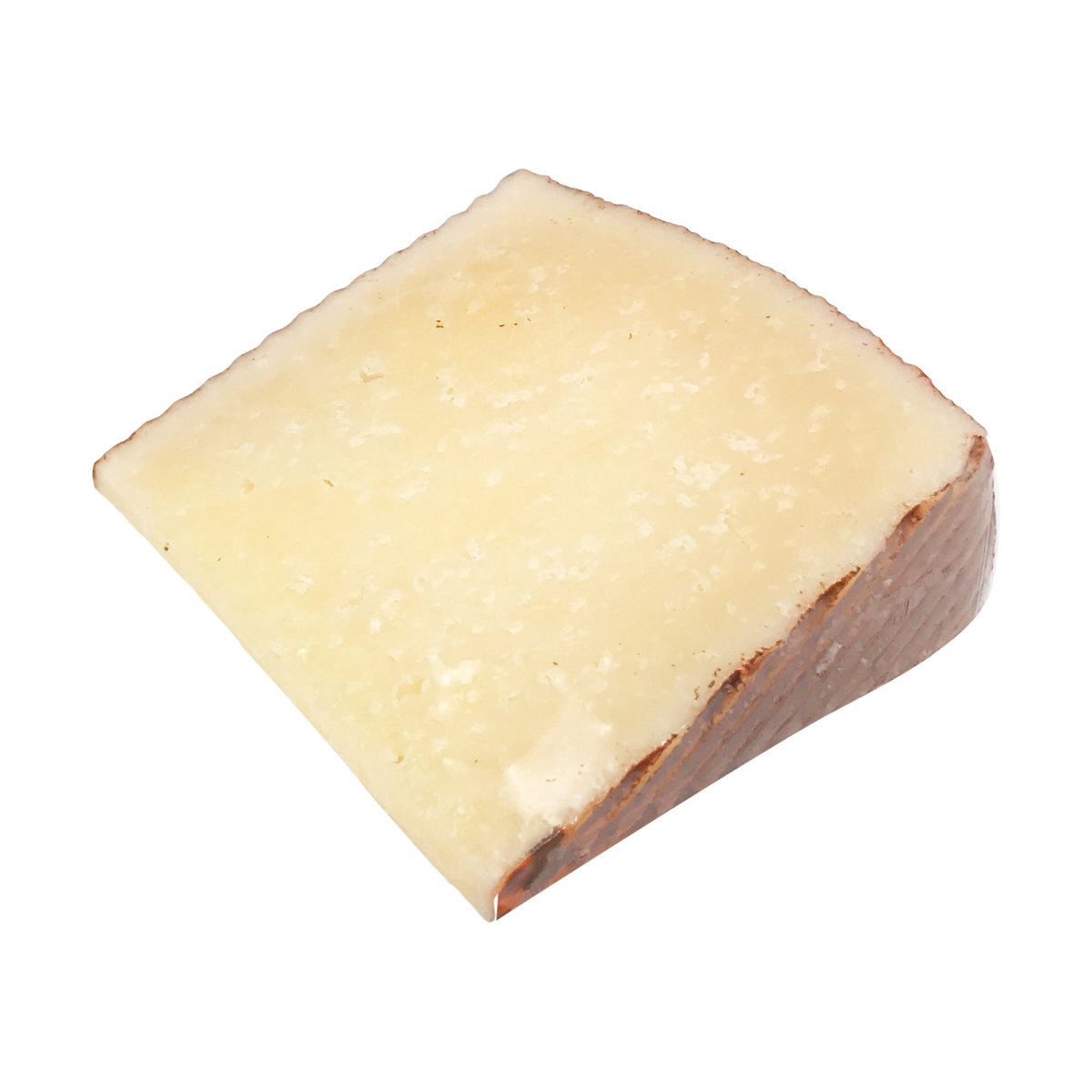 12 Month Old Manchego